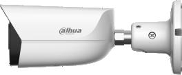 product_245195_1.jpg