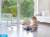 kamera_ip_reolink_e321_wewntrzna_wifi_3mp_6155e73eb4df4.jpg