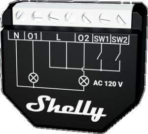 Shelly Qubino Wave 2PM