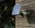 11_2663.jpg