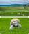 9adc9c48dfa919dc525153ccf257094a_original.jpg