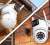 Kamera IP Orllo TZ19 DUAL 4MP+4MP Wi-Fi 4K AI