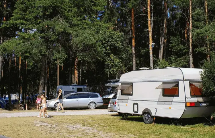 Fotopułapka - Kamera leśna - Orllo Huntercam 6 SIM z zasilaniem solarnym