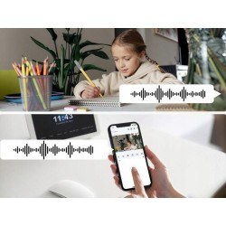 Kamera IP Reolink E321 wewnętrzna Wi-Fi 3MP