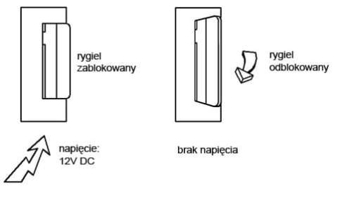 ZACZEP ELEKTRA R4 BEZ BLOK. REWERSYJNY 12V DC