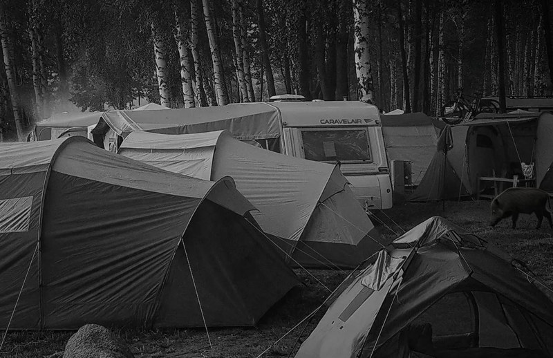 Fotopułapka - Kamera leśna - Orllo Huntercam 6 SIM z zasilaniem solarnym Fotopułapka - Kamera leśna - Orllo Huntercam 6 SIM z zasilaniem solarnym