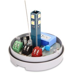 Lampa LED Proxima z wbudowaną anteną 868 MHz 24/230V - pomarańczowa - Lampa LED Proxima KOGUT z wbudowaną anteną 868 MHz (12-24V AC/DC lub 230V AC) żółta